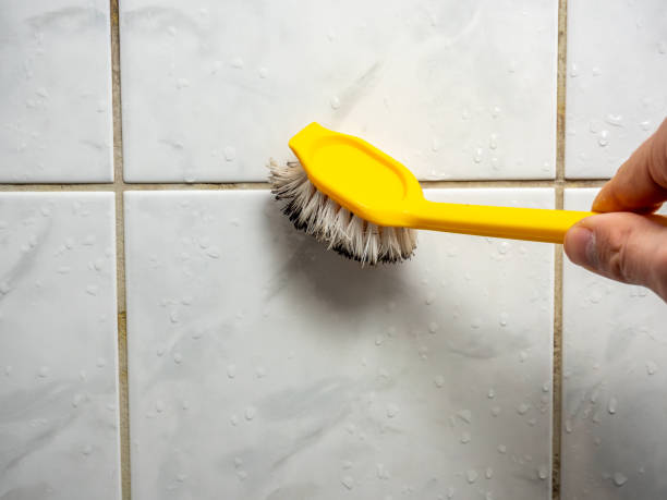 Best Localized Mold Remediation (e.g., coastal areas, humid climates) in Leadington, MO