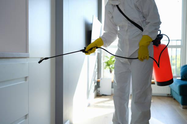 Best Bathroom Mold Remediation in Leadington, MO